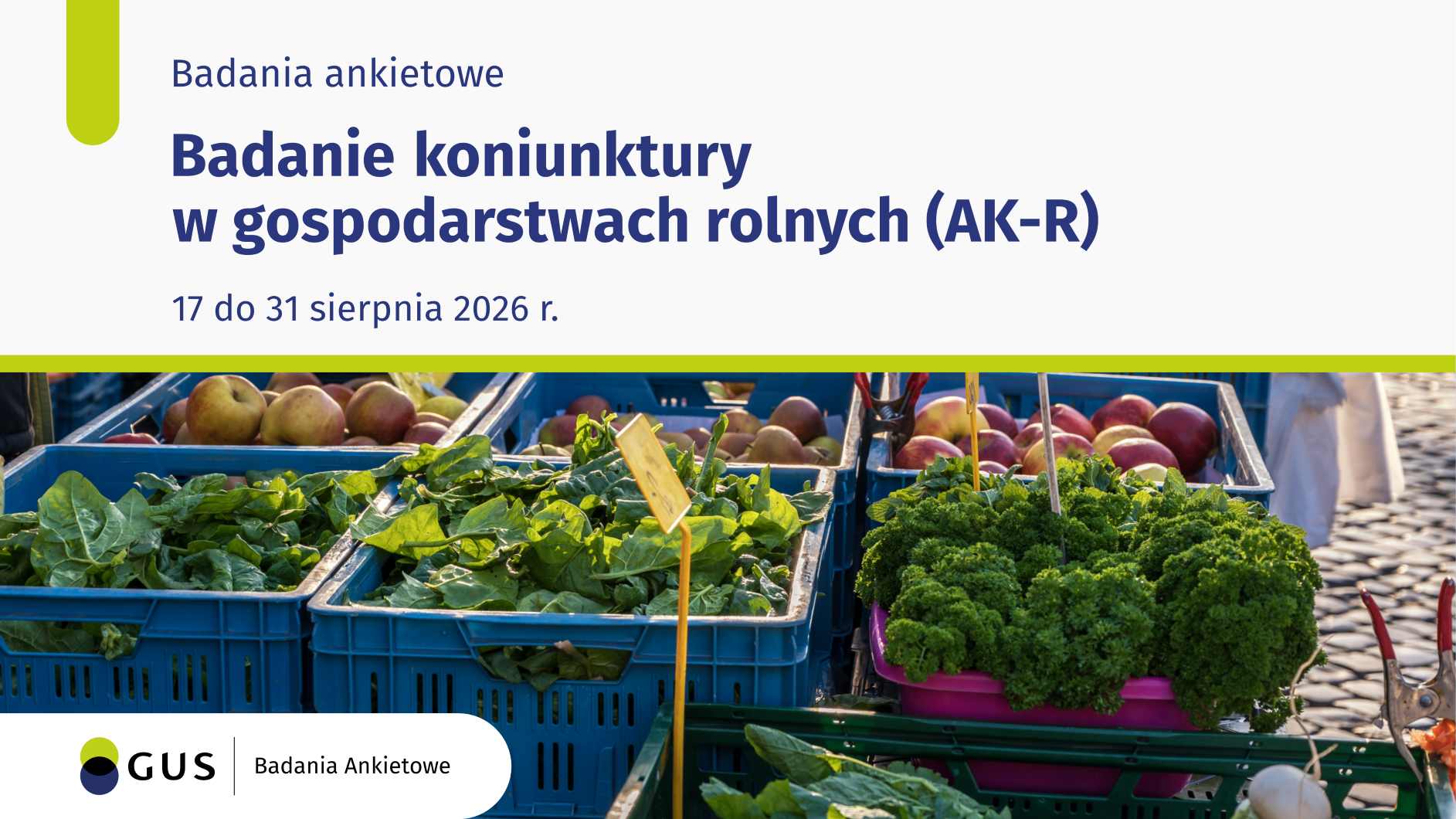 Badanie koniunktury w gospodarstwach rolnych (AK-R) 17–31.08.2026 r.