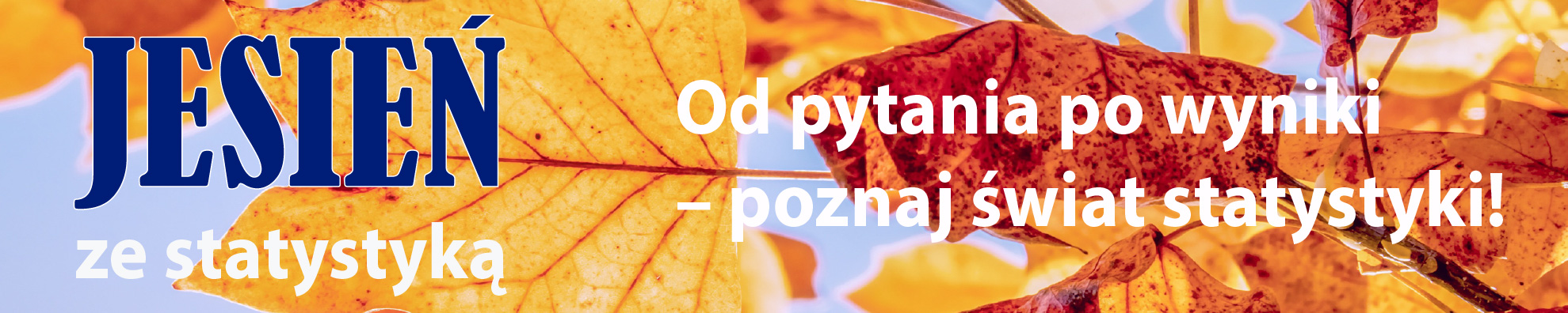 Baner