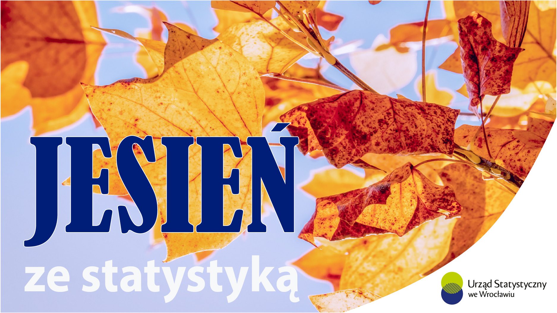 Napis Jesień w statystyce i logo US Wrocław na tle liści